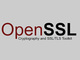 OpenSSLの更新版公開、DoSの脆弱性を修正