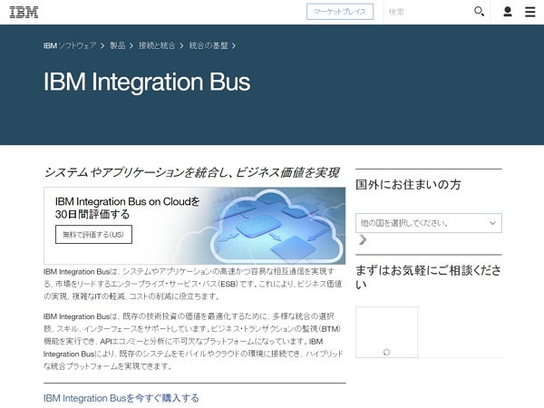 uIBM Integration BusvTCg