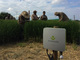 コロンビアのコメ栽培に日本の農業IoTを——「e-kakashi」実証実験へ