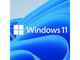 Windows 11uInsider PreviewvŌJ