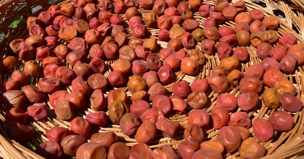 画像が削除されました