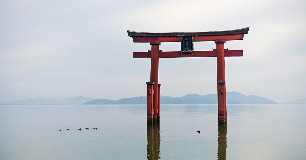 画像が削除されました