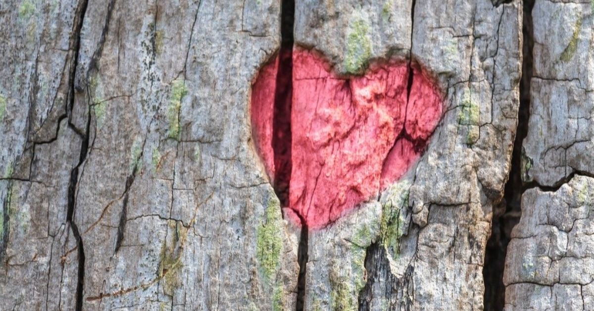 サイバー戦争は認知空間が主戦場に? 「詐欺被害額が1年で倍増」を招いた裏事情