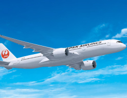 ���{�q�󊔎����