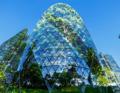 �j�b�Z�C���e�N�m���W�[�������