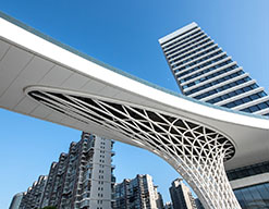 SBS���R�[���W�X�e�B�N�X�������