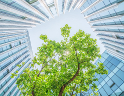 ��������ی��������