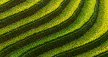 �L���h�����̃Z�L�����e�B & ���W���G���V�[