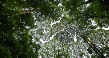 �L���h�����̃l�b�g���[�N & �G�b�W