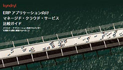 ERP�����ɍœK�ȁA�}�l�[�W�h�N���E�h�T�[�r�X�v���o�C�_�[�̑I�ѕ�