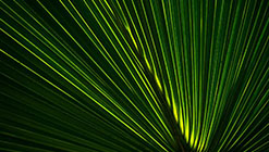 �uCoE�v�Ƃ́H�@��Ɛ����̌��ƂȂ�u������IT����v�ɂȂ���@