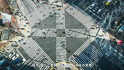 IT�^�p�̍��x���iIntroduction�j