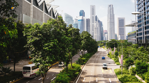 SDV���؂�񂭃��r���e�B�̖���