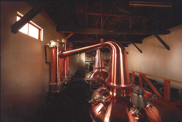 ̐𑢁uufbhECXL[R@xv