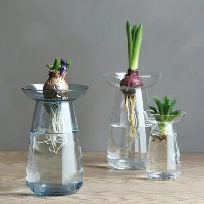 フラワーベース」おすすめ5選 北欧デザインなどのおしゃれな花瓶で植物 