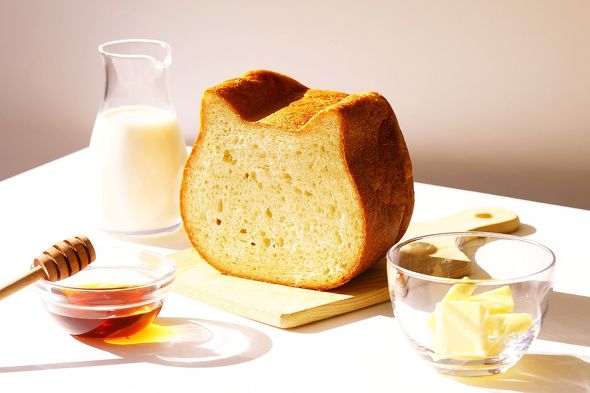 ねこねこ猫の日