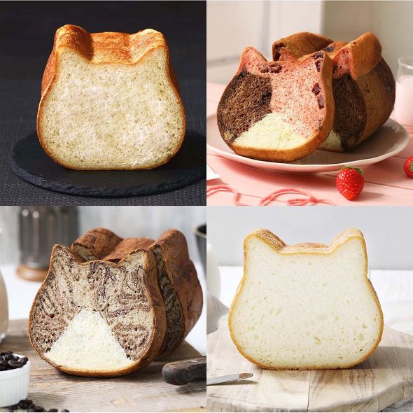 ねこねこ猫の日