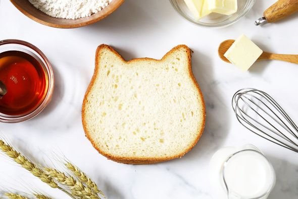 ねこねこ猫の日