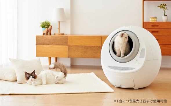 「猫用自動トイレ」おすすめ5選 安全性に配慮したモデルやアプリ 