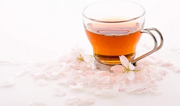 桜の香りが楽しめるお茶」おすすめ5選 桜フレーバーの「紅茶」「緑茶