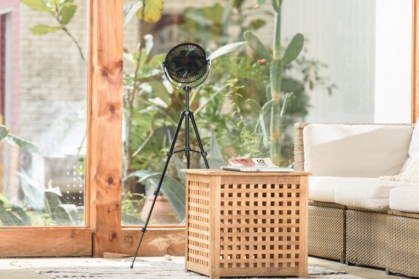 �uiFan Xtream�v�̎ʐ^4