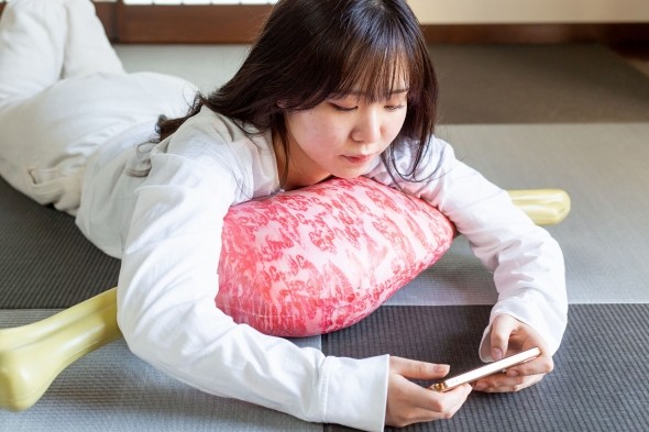 �u���ړI�܂���v�g�p�C���[�W