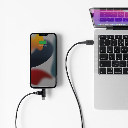 AppleMFiF؂擾Ău500-IPLM030BKv