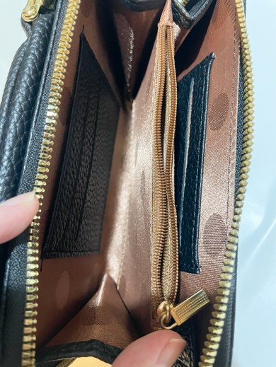 ���D���y�X����傫��