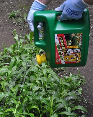 家庭用「除草・防草グッズ」おすすめ5選 草抜き器具・除草剤・防草