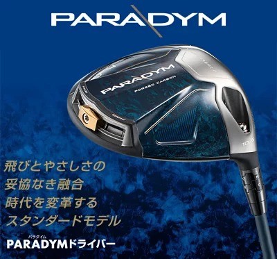 �L�����E�F�C�u�p���_�C�� �h���C�o�[�v