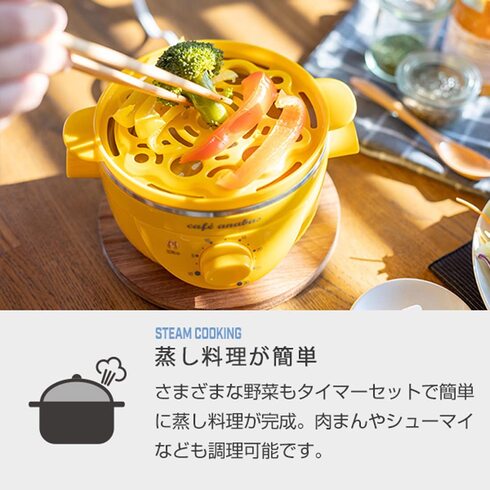 AioXiAnabasjuX`[NbJ[ SE-001v