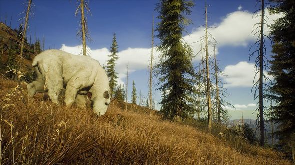 ĂPS5̃\tgiI[v[hjFTHQ Nordic WpuEFCIuUn^[v