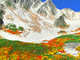 関東から行きやすい「9月から紅葉が楽しめる登山スポット」おすすめ5選　色鮮やかな絶景が楽しめる【2023年9月版】