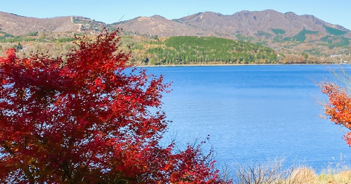 紅葉】河口湖の「紅葉ドライブ」おすすめスポット4選 富士山の絶景
