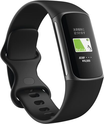 FitbititBbgrbgjuCharge 5v