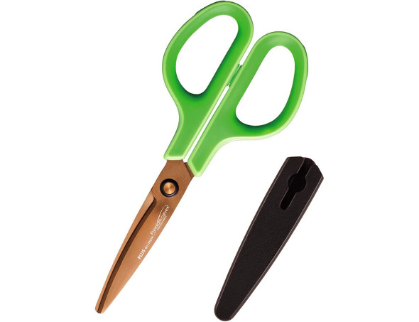 ������Ă���͂���