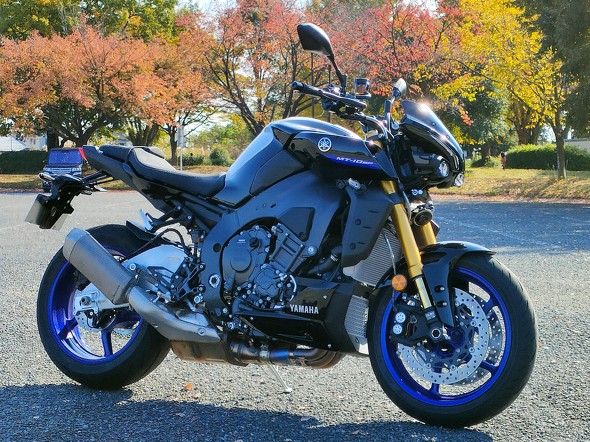 50ドC_[ɎgʍD݁hȍYoCN