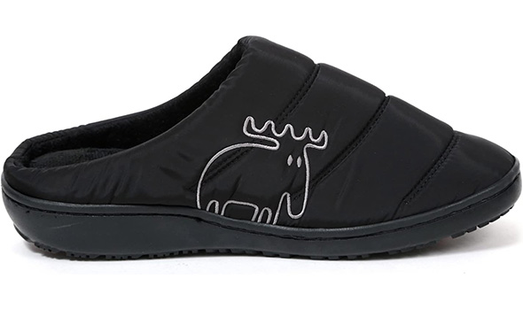 �T���_��