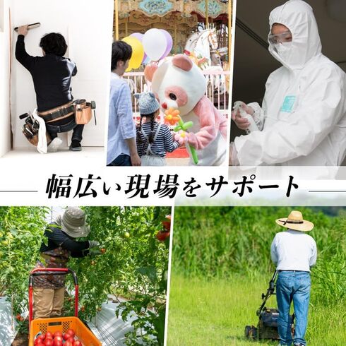 �T���R�[�u�S�g����X�[�c�v