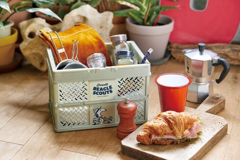 �󓇎ЁuSNOOPY �y��������������! �܂肽���ݎ��[�o�X�P�b�g BOOK�v