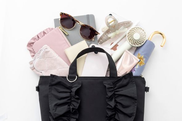 付録】大ぶりなフリル付き「2WAYバッグ」がカワイイ！ 保冷・保温可能