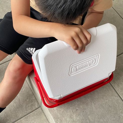 1000~ŔuN[[{bNXv3ILO@1ʂ̓R[}350mlʂ6{郂fI@T[X̐܂肽ݎlCy2024N8Łz