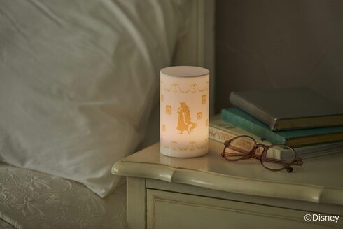 �󓇎Ёu5�F�Ɍ���! Disney ���̏�̃��v���c�F�� �����^�����C�gBOOK�v