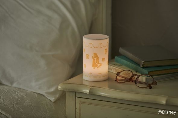 󓇎Ёu5FɌ! Disney ̏̃vcF ^CgBOOKv