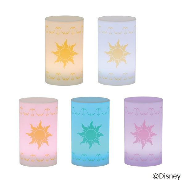 󓇎Ёu5FɌ! Disney ̏̃vcF ^CgBOOKv