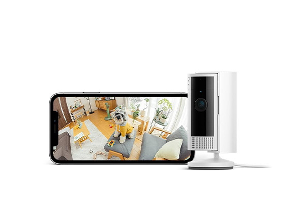 �h�ƃJ����