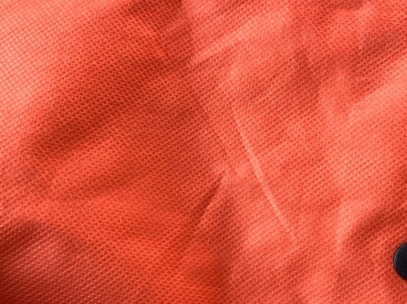 �s�D�z�̂悤�Ȑ��n