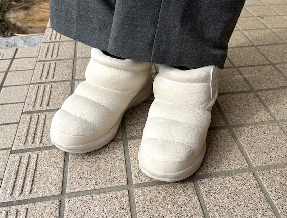 �h���u�[�c �P�x�b�N�V���[�g