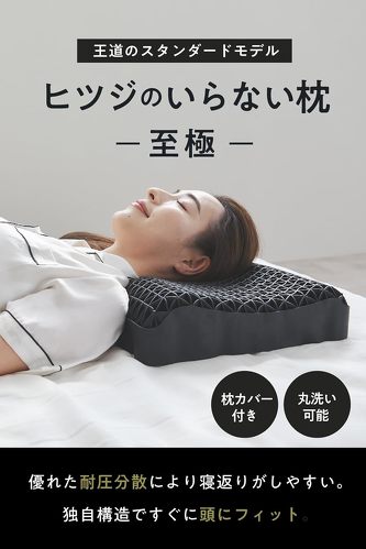 �q�c�W�̂���Ȃ��� ����