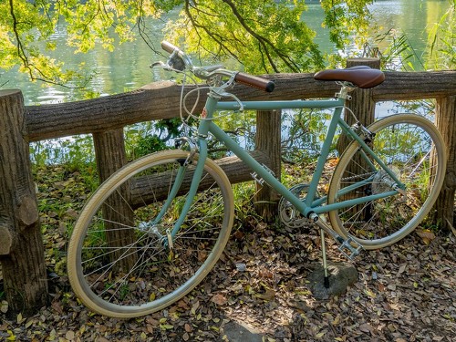 �M�҂�2024�N�ɍw�����ėǂ������A�C�e���Ƃ́H